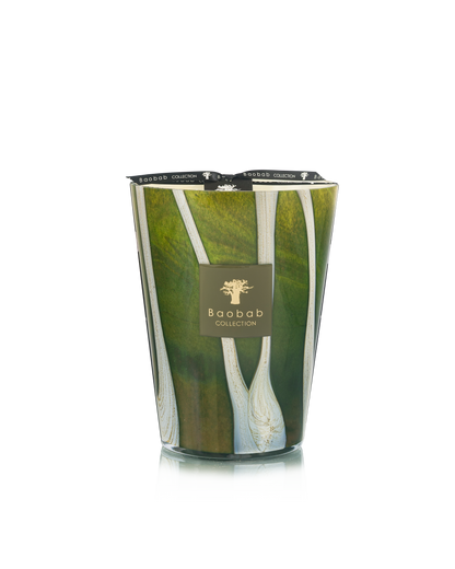 Baobab Collection Sherwood Candle