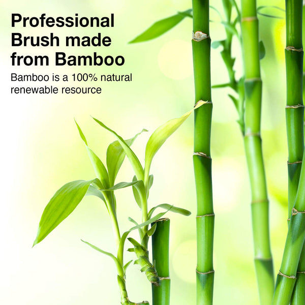 Olivia Garden Healthy Hair Eco-Friendly Bamboo Ionic Massage Hair Brush HH-3